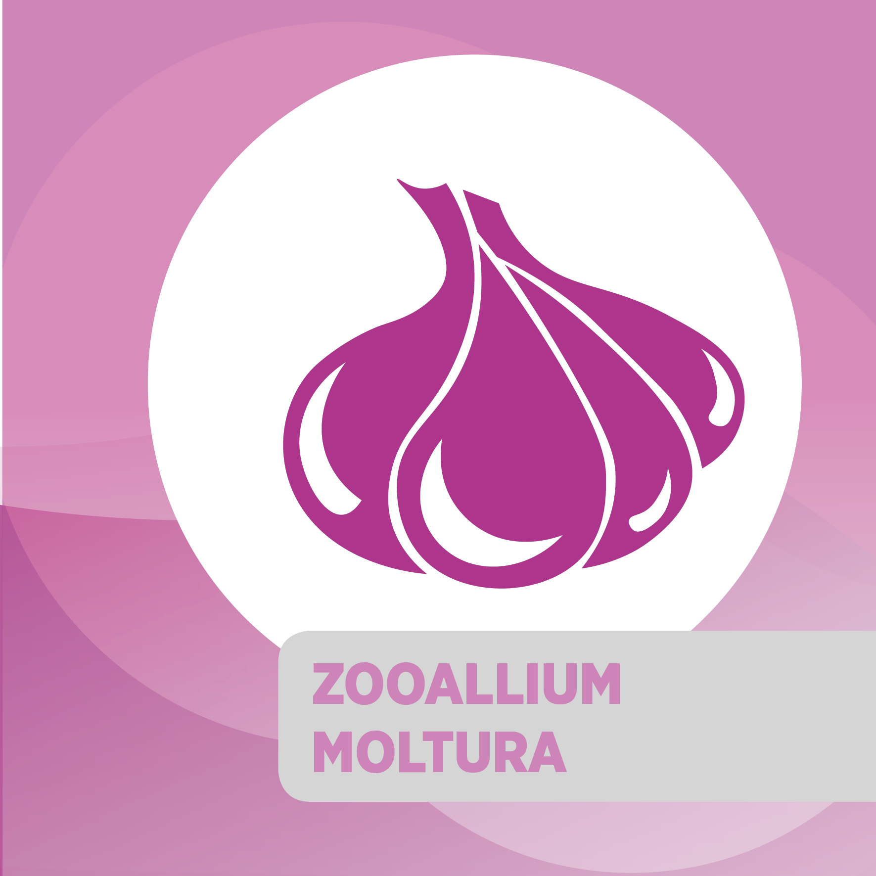 Zooallium Moltura