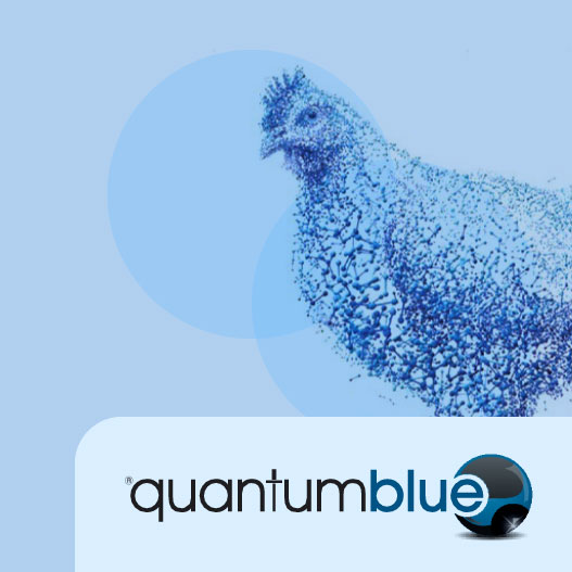 Quantum Blue