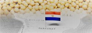 Paraguay: Se prevé recuperación en producción de soja ciclo 2019/2020
