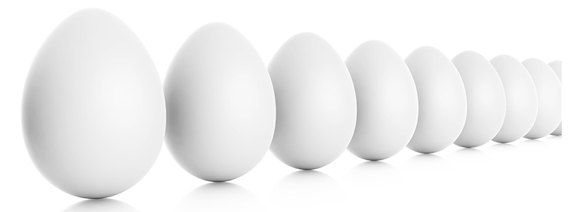 material genético e ovos férteis 