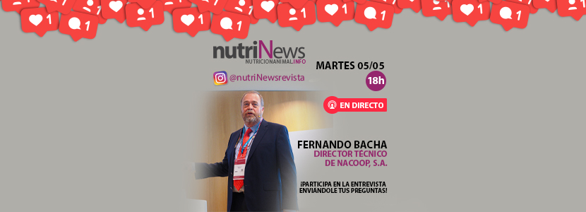 Revive la Entrevista en directo a Fernando Bacha de NACOOP S.A.