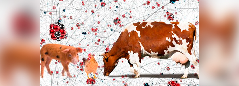 Nanotecnología: su aplicación en la Nutrición Animal