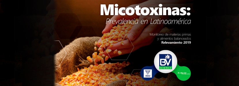 Micotoxinas: Prevalencia en Latinoamérica 2019