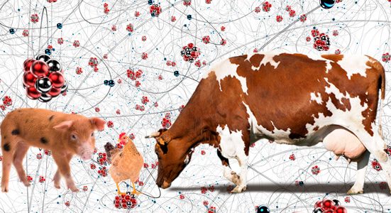 Innovaciones en nutrición animal: uso de la nanotecnología