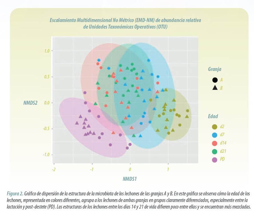 microbiota intestinal