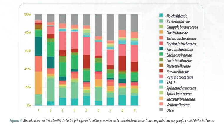 microbiota intestinal