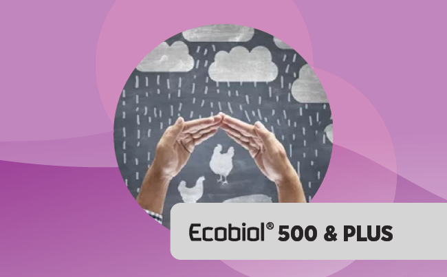 SpeoCare T60