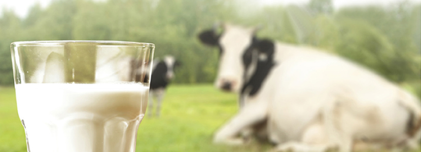 Seguridad alimentaria frente a las micotoxinas de la leche