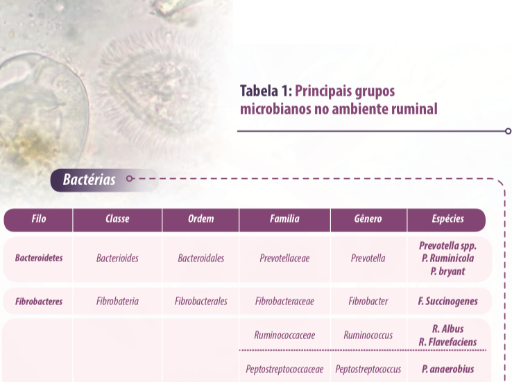 microbioma-ruminal