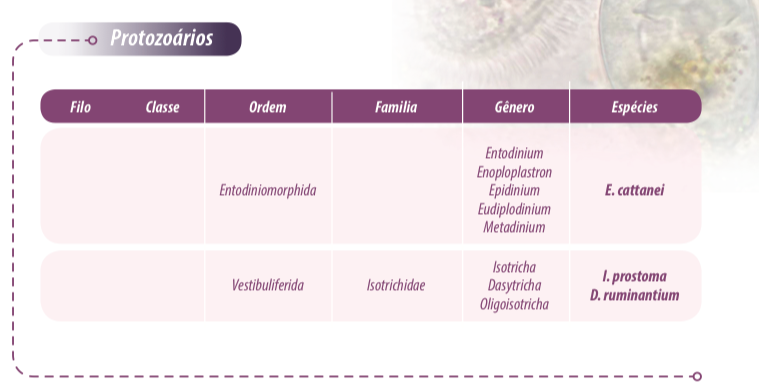 microbioma-ruminal-prot