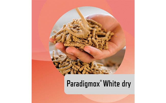 Paradigmox<sup>®</sup>White dry