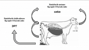 ganadería