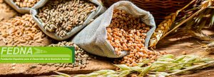 Nuevas recomendaciones nutricionales de FEDNA para la avicultura