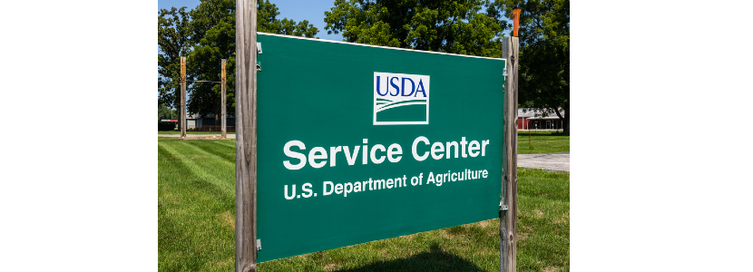 Nuevo informe del USDA sobre cereales y oleaginosas