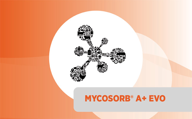 Mycosorb® A+ EVO