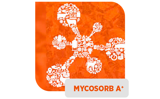 Mycosorb A<sup>+®</sup>