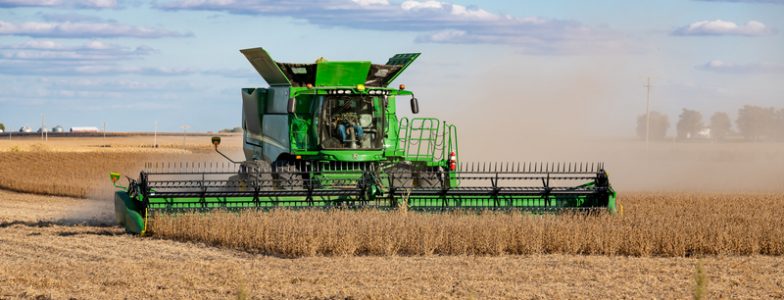 Soybean harvest