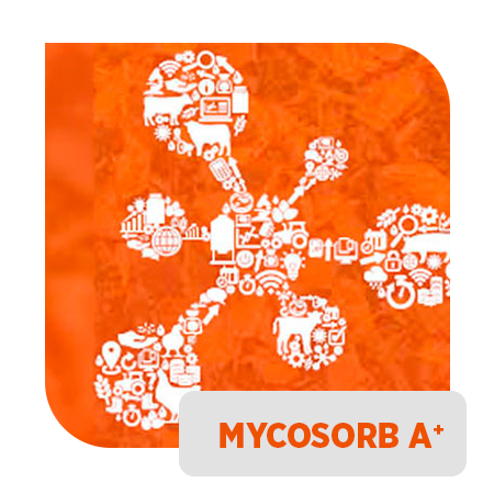 Mycosorb A<sup>+®</sup>