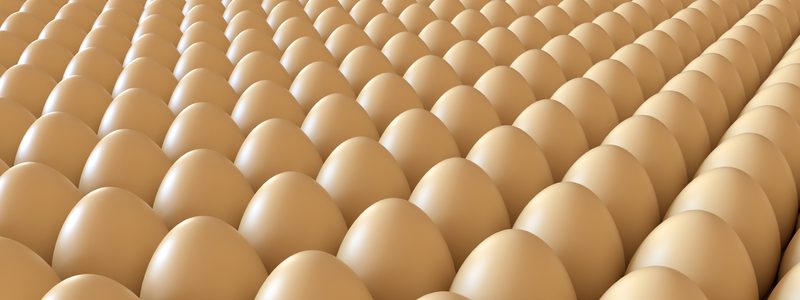 Mejorando la calidad de los huevos: albúmina y yema