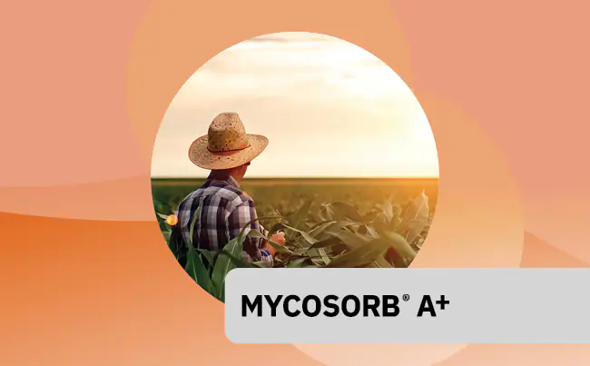 Mycosorb® A+