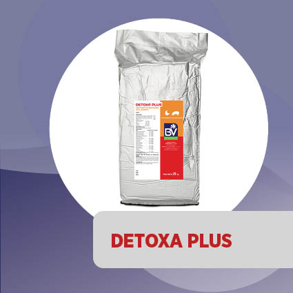 Detoxa Plus