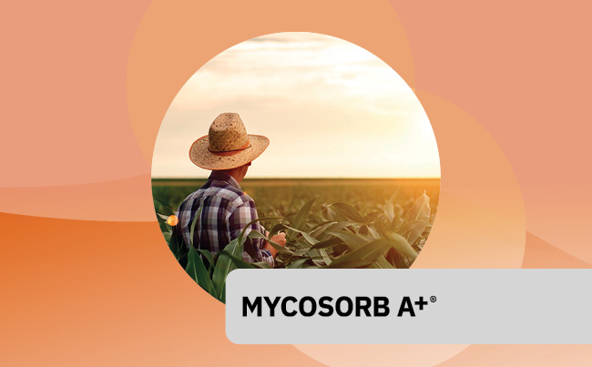 Mycosorb A+<sup>®</sup>