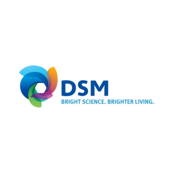 DSM Brasil