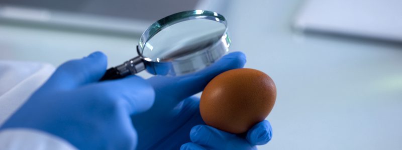 Mejorando la calidad de los huevos: cáscara