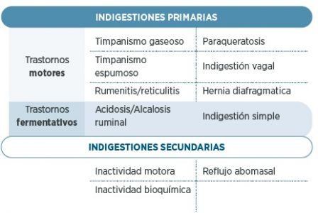 Trastornos ruminales