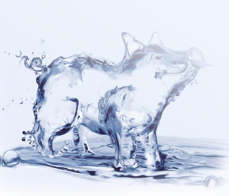 ¿La calidad del agua afecta al rendimiento y/o salud de los lechones?