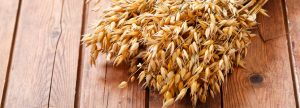 Ficha de Materia Prima. Cáscara o cascarilla de avena
