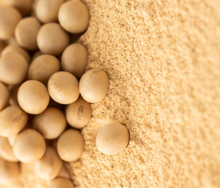Utilização de derivados de soja na alimentação animal Parte II