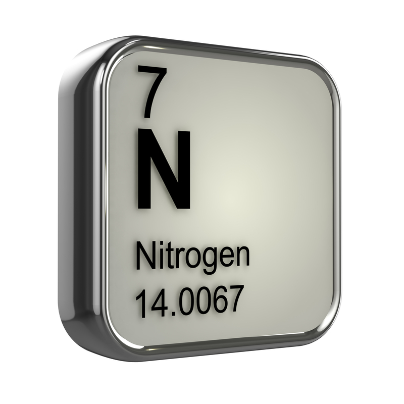 Nitrogen use in dairy cows