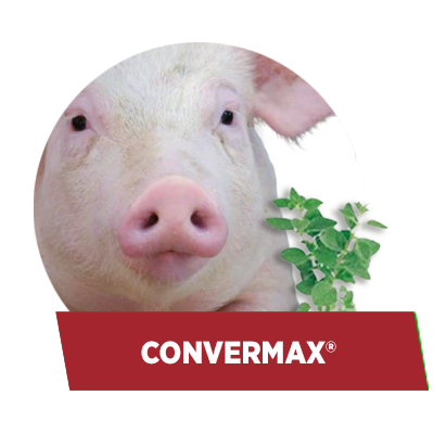 ConverMax®