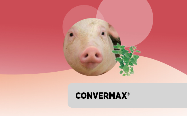 ConverMax<sup>®</sup>