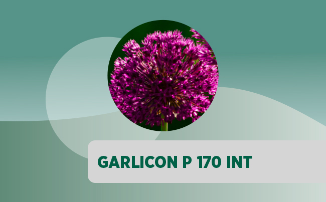 Garlicon P170 INT