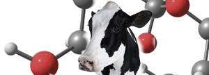 Utilización de glucosa en rumiantes