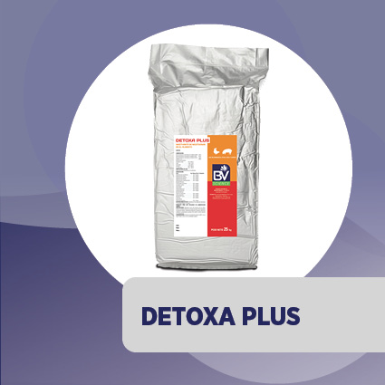 Detoxa Plus®