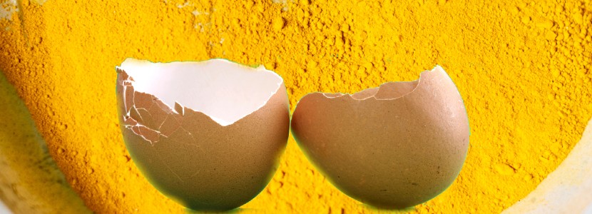 Uso de huevos secos procesados ​​enteros como aditivo para pollos de engorde