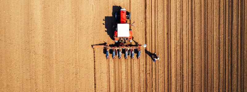 Los precios de las commodities alientan a los productores a sembrar más