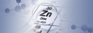 Absorción del zinc e interacciones antagonistas en el tracto digestivo