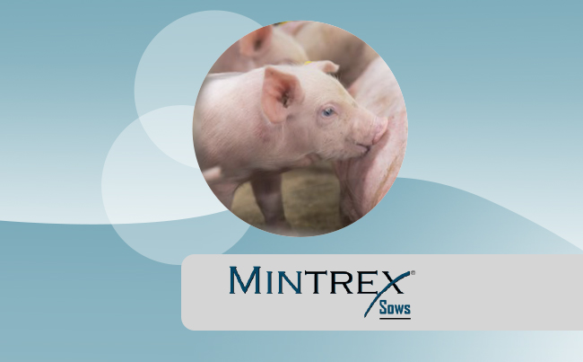 MinTrex® Sows