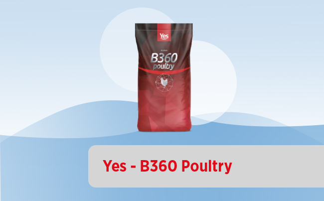 Yes – B360 Poultry