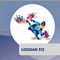 LOXIDAN 313