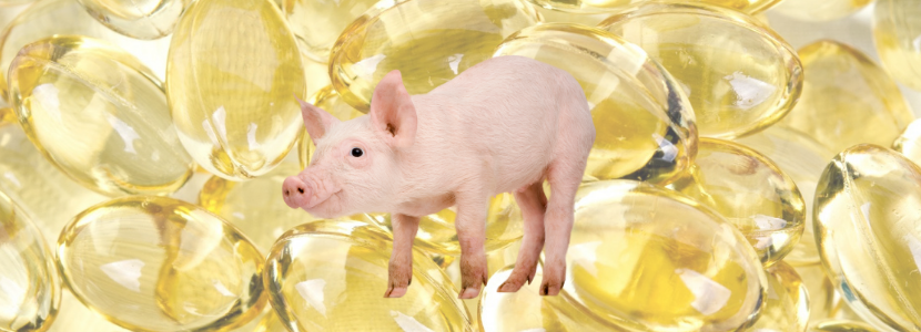 Vitamina D em suínos