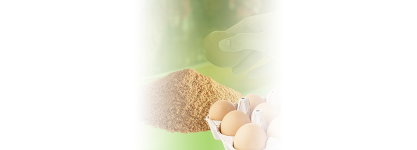 Produção e qualidade dos ovos de poedeiras comerciais leves em...