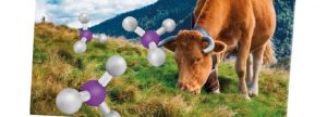 Nutrición proteica en rumiantes: entrevista al Dr Darío Colombatto