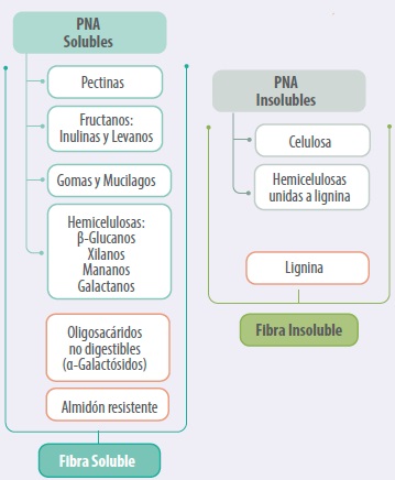 fibra