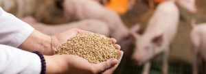 ¿Qué pasaría si supiera el costo real de sus ingredientes?