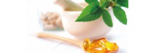 Uso de polifenoles como alternativa a vitamina E